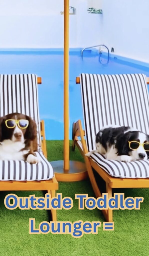 Two Dogs